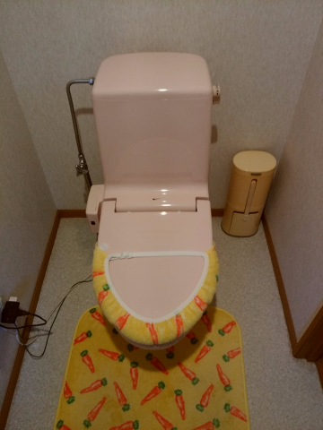 トイレ・CF交換工事　山梨県甲斐市　CES9787M-NW1 - Before