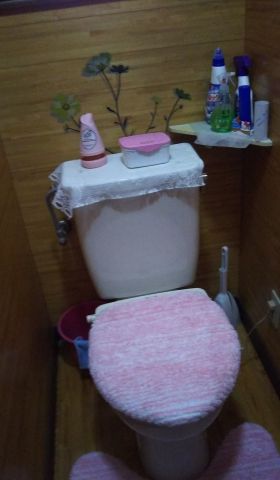 トイレ交換工事　熊本県菊池市　YBC-A10H-DT-357JH-BW1 - Before