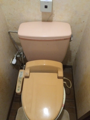 トイレ交換工事（床CF/壁紙クロス張替え共）　長野県須坂市　XCH1101RWS-sale - Before