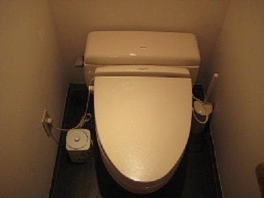 トイレ交換工事　岐阜県岐阜市　CS230BM-SH230BA-W - Before