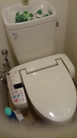 トイレ交換工事　栃木県宇都宮市　BC-Z10PU-DT-Z182U-BN8 - Before