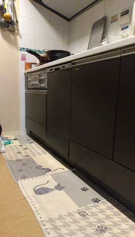 ビルトイン食洗機交換工事　神奈川県川崎市高津区　NP-45MD9W - Before