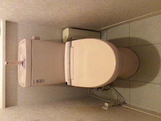 トイレ交換工事　埼玉県上尾市　BC-ZA20S-DT-ZA251-N-LR8 - Before