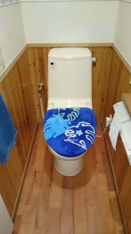 トイレ交換工事　静岡県浜松市天竜区　N3GN2RSQ1 - Before