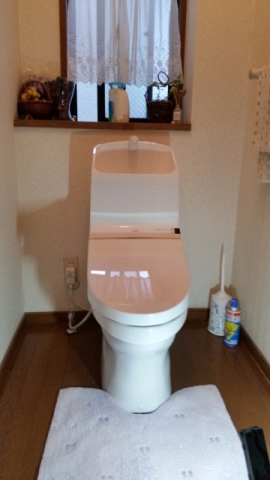 トイレ交換工事 (笹原）　東京都世田谷区　TH216R