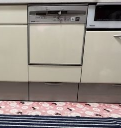 ビルトイン食洗機交換工事　神奈川県座間市　NP-45MS9S-koujiset - Before