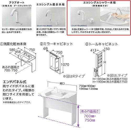 ●洗面化粧台セット 住宅向け車いす対応洗面[間口750mm][高さ1900mm][エンドパネル式][エコシングルシャワー水栓][昇降機能付][床排水壁給水][2面鏡][LED][くもり止め][一般地]